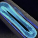 Fonte: Dr. Faraz Fazal, Universidade de Edimburgo